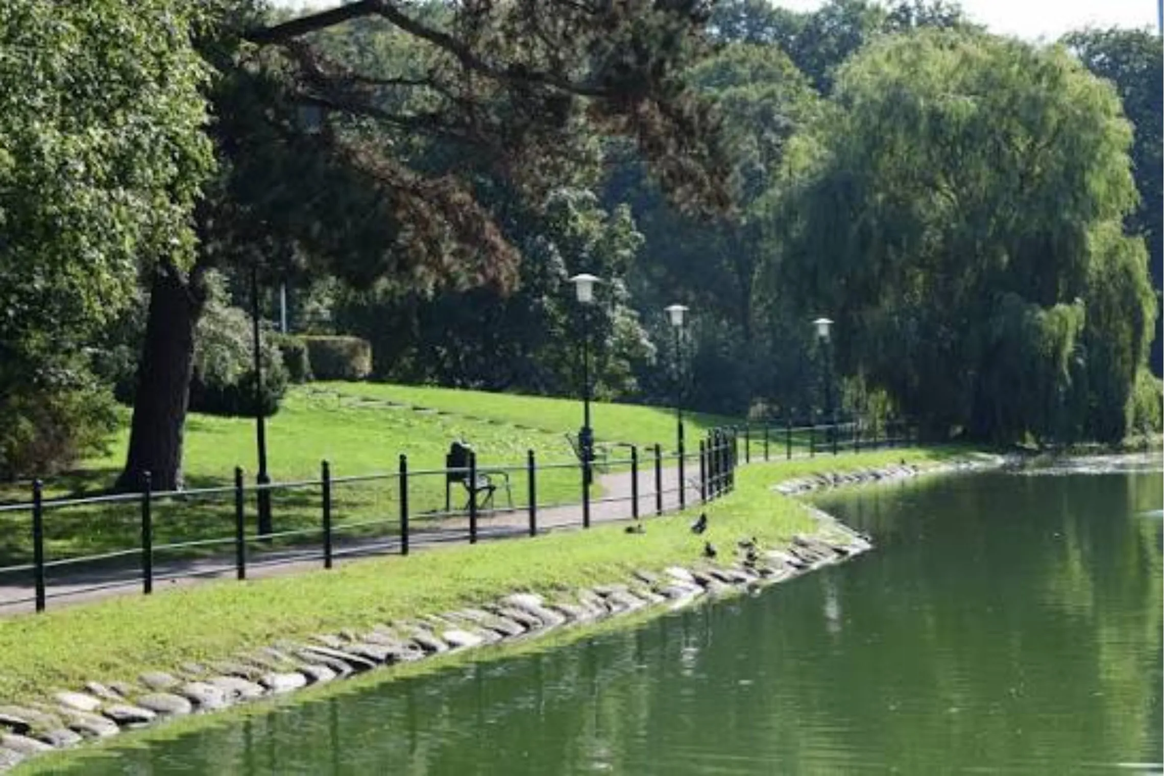 Kungsparken med kanalen och gamla träd